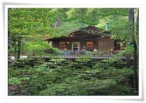 You've come to the right place to find pet friendly cabins in the smoky mountains in bryson city and murphy, nc. Bryson City pet friendly cabin rental | Pet friendly ...