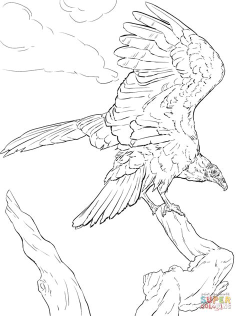 Turkey Line Drawing at GetDrawings Free download