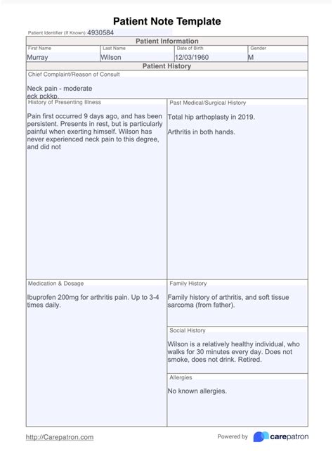 Patient Note Template And Example Free Pdf Download