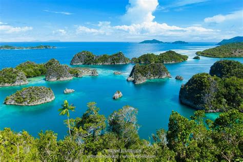 Pin On Voyage Raja Ampat Indonesie