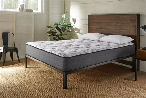 Name brand furniture, mattress, appliances. Denali Plush Twin Mattress-A41314PR-1010 | Van's Home Center
