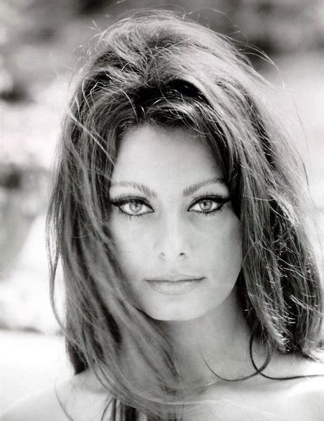 Sophia Lauren Sophia Loren Sophia Loren Photo Beauty