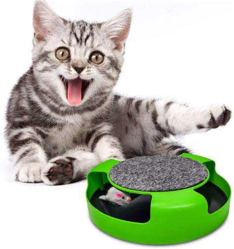 Pasking interactive cat toy to keep your cat busy