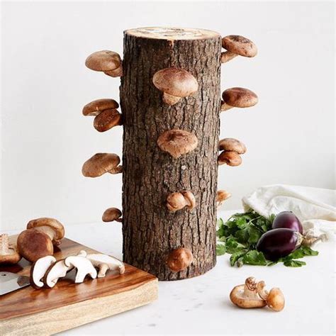 Depending on your dad or father figure's interests and occupation, there's a present that has his name written all over it. 45 Best Fathers Day Gifts 2021 - Cheap Father's Day ...