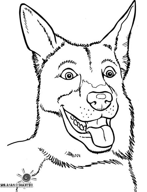 Dessin De Bébé Chien Beau Photos Coloriage De Bébé Chien A Imprimer