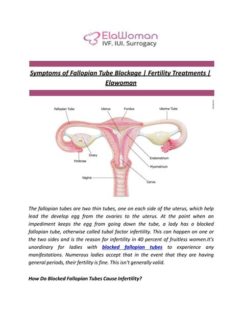 PPT Symptoms Of Fallopian Tube Blockage Fertility Treatments