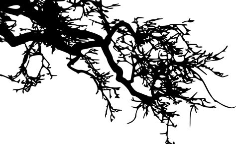 Flower Branch Silhouette Png