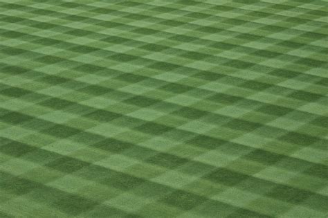 Baseball Field Grass Turf Free Stock Photo Public Domain Pictures