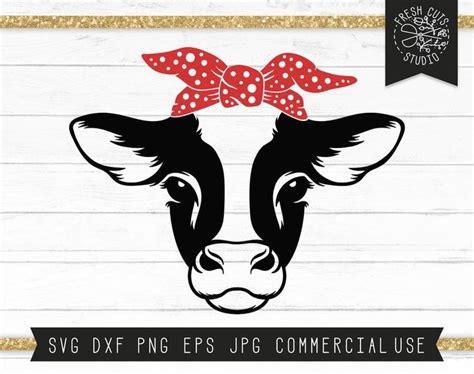 Download Pin on cows
