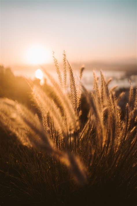 500 Sunset Captions for Instagram (2021) – Viraflare
