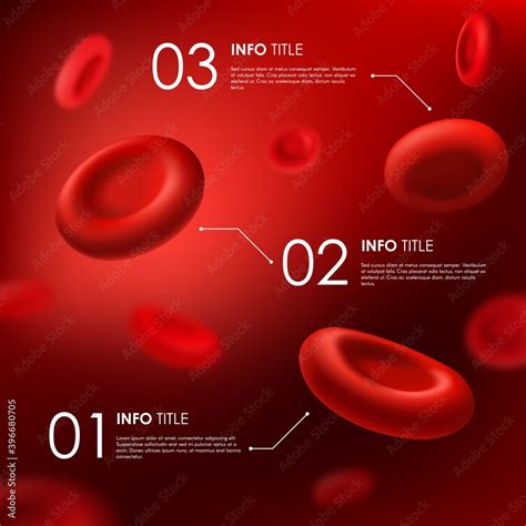 Red Blood Cells Infographics 3d Vector Hemoglobin Human Body Anatomy