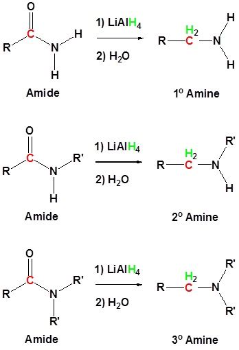 232 Preparation Of Amines Organic Chemistry Ii