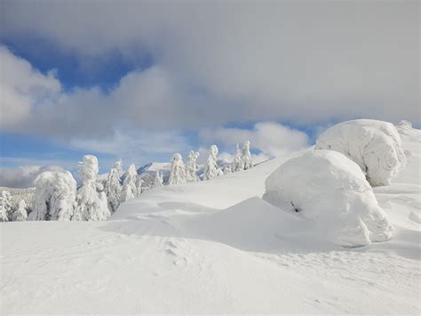 Foto Peisaje Superbe De Iarnă în Parcul Național Munții Rodnei Ziar