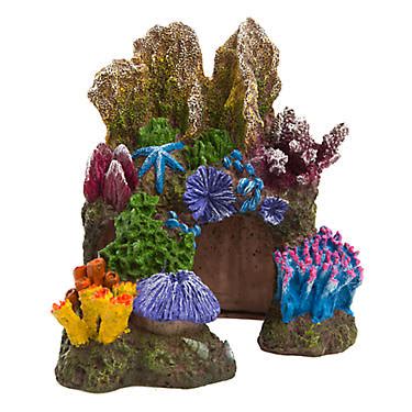 Top picks related reviews newsletter. Top Fin® Coral Reef Cave Aquarium Ornament | Aquarium ...