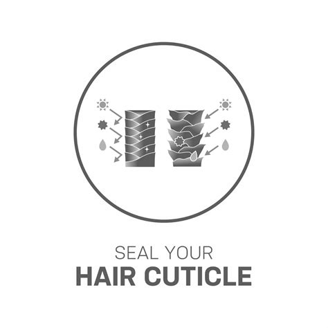 Hair Care Routine For Different Types Of Hair – Eazicolor Professional