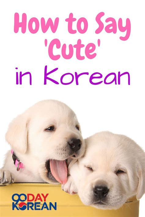 I love you perhaps, is the most overused, mundane and clichéd phrase and is always a winner when it comes to expressing your love. How to Say 'Cute' in Korean (귀여워요 | Cute in korean, Korean ...