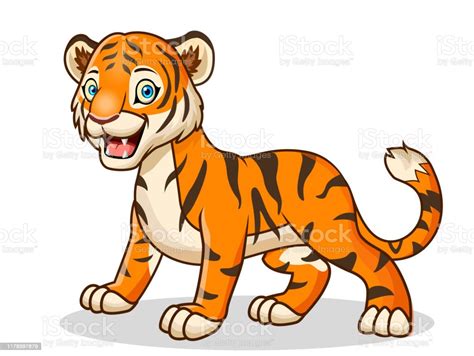 vetores de um tigre bonito dos desenhos animados isolado no fundo branco e mais imagens de