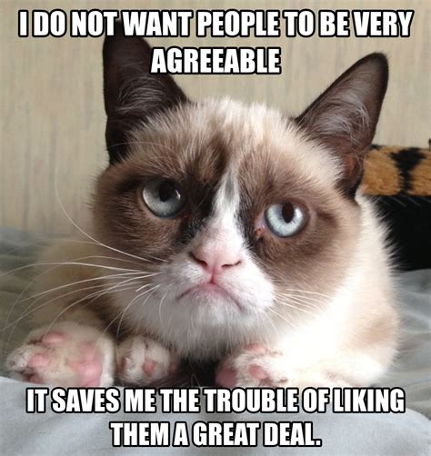 Tardar Sauce And A Jane Austen Quote Grumpy Cat Quotes Meme Grumpy Cat Cat Memes Grump