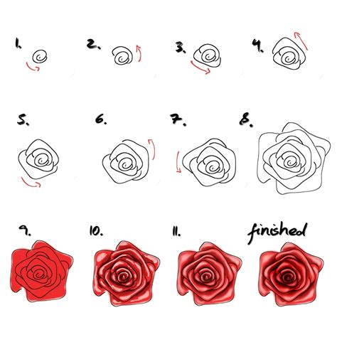 Bildergebnis für rose zeichnen Flower drawing tutorials Rose