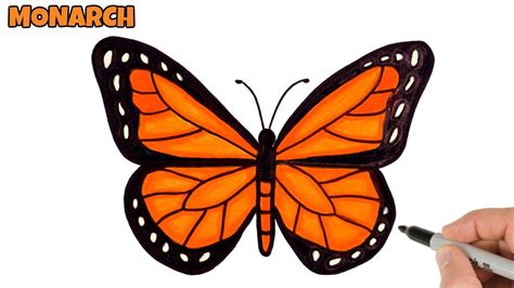 How To Draw Butterfly Easy Monarch Butterfly Drawing And Coloring