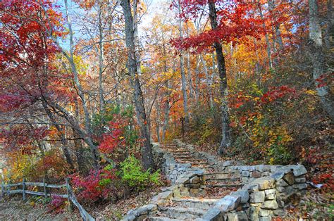 Staircase To Fall Photograph By Lynn Bauer Fine Art America