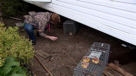 Barron County Humane Society Rescues Animals Near Chetek After Deadly