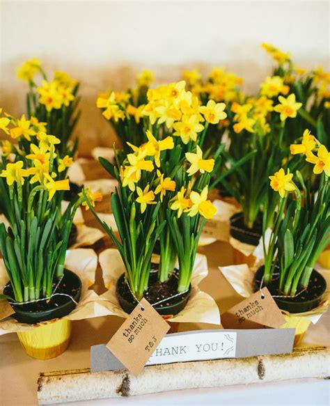 The Bloom Of Spring In A Daffodil Wedding Theme