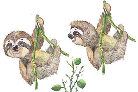 Watercolor Sloth Clipart Tropical Animal Clipart Cute Sloths 652580