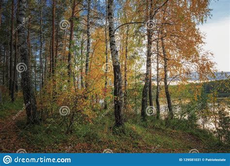 Autumn Landscape Sunset In The Forest By The Lake Beautiful View In