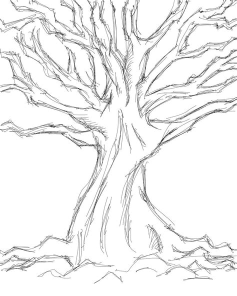 Tree Sketches Drawing Sketch Template Tree Sketches Tree Drawings Pencil Tree Drawing