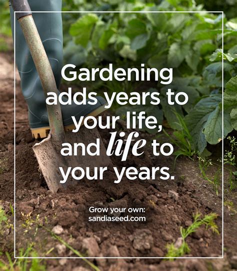 Quote About Gardening Inspiration