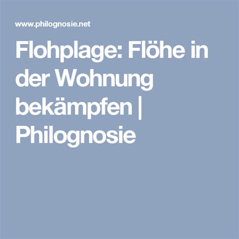 So werden sie sie los | pop, flöhe im haus zu bekämpfen ist nicht unmöglich. Flohplage: Flöhe in der Wohnung bekämpfen | Philognosie ...