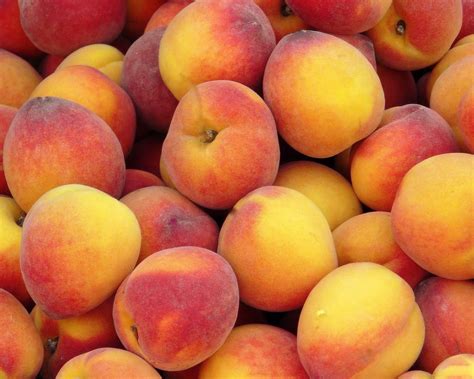 Wallpaper Food Fruit Peach Peaches Produce Land Plant Flowering