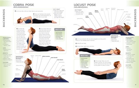 Yoga Asanas Postures With Pictures Pdf