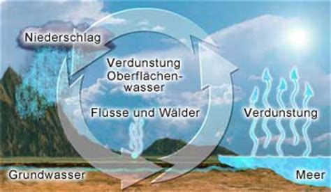 Wasser ist ursprung und voraussetzung allen lebens auf der erde und die grundlage der menschlichen zivilisation. Landesforsten Rheinland-Pfalz: Wasserhaushalt und ...