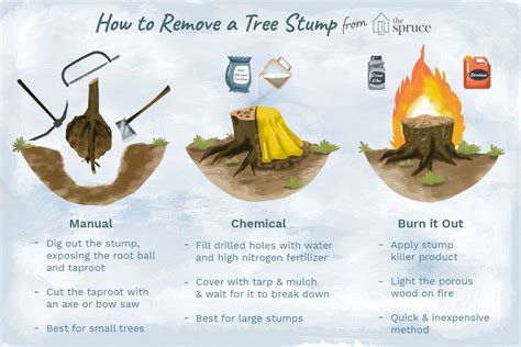 Stump Removal How To Remove A Stump Without A Grinder