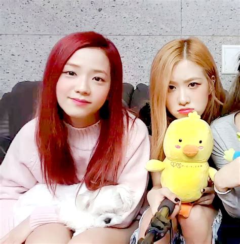 Lisa, jennie, rosé and jisoo have been in the band since it debuted with boombayah in 2016, but what were their lives like before blackpink and how did they become trainees for yg entertainment? Pin de Dôn_ Yeolbo em Blackpink Chaesoo | Blackpink ...