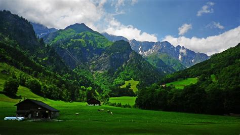 Nature Landscape Alps Mountain Cabin Grass Spring Cows Clouds