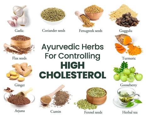 how to manage high cholesterol through ayurveda herbs diet and more