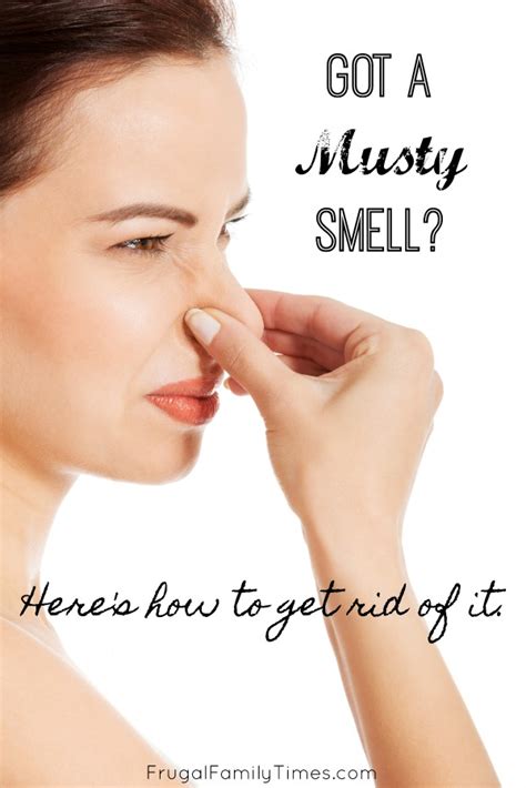 How To Get Rid Of Musty Smells In Cabins Basements And More 11 Simple