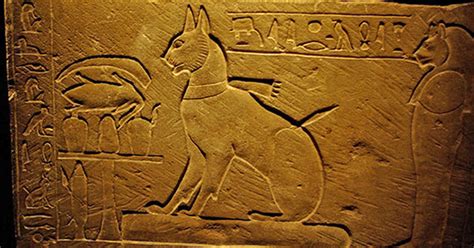 arrojar polvo en los ojos Antídoto Juntar la historia de los gatos en el antiguo egipto
