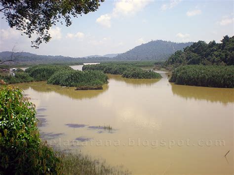 Effect myth of lake chini towards people. Tempat Menarik Di Pahang - Tasik Chini (Pt 1)