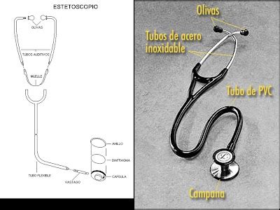 Medicina Partes De Un Estetoscopio 23732 The Best Porn Website