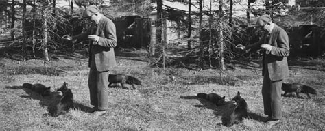 That Famous Russian Fox Domestication Study May Have Had A Few Crucial
