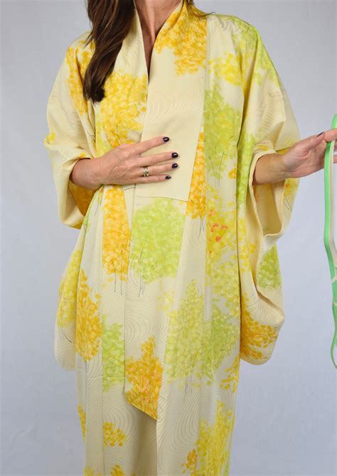 Japanese Vintage Kimono Robe Silk Including Obijime Kumihimo Belt High Class Silk Gown Robe