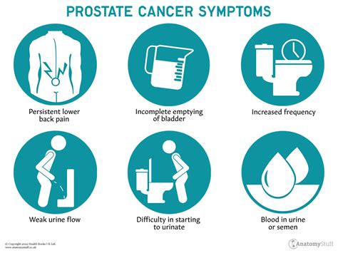 Prostate Cancer Symptoms Signs Anatomystuff