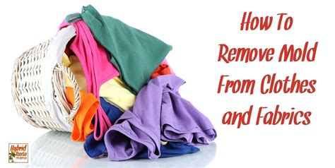 But unfortunately, there is always a risk that comes with trying to make moldy items safe again. How To Remove Mold From Clothes and Fabrics | Hybrid Rasta ...