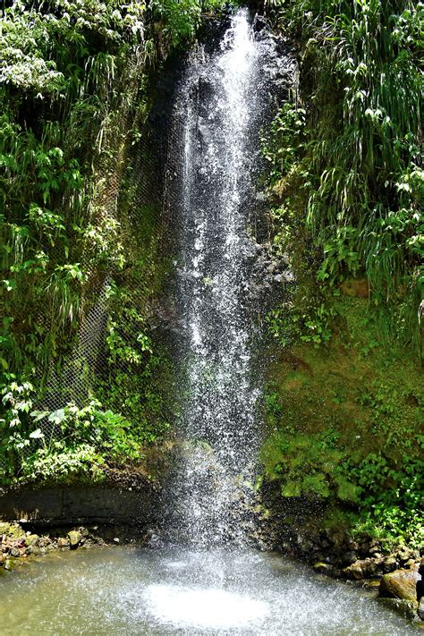 Toraille Waterfalls Near Soufrière Saint Lucia Encircle Photos