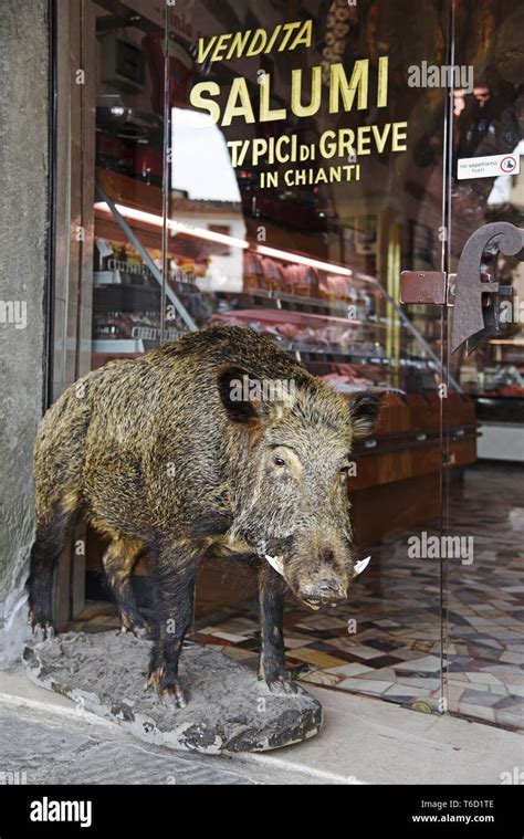 Wild Boar Meat Stock Photo Alamy
