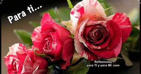 Buenos Deseos Para Ti Y Para MÍ Para Ti Feliz Tarde 3 Rosas